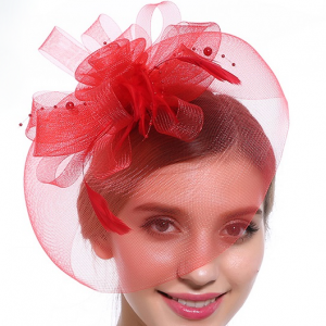 Hair Accessories